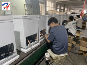 Congelatore HT CKD SKD per Produzione di Massa con Linea di Assemblaggio/Test/Imballaggio Personalizzabile Servizio Completo - Product Image 4