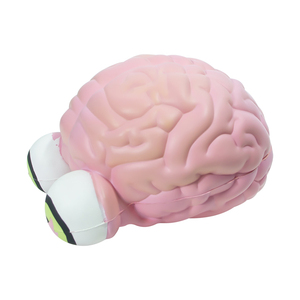 Novità in schiuma Anti-Stress morbido cervello giocattolo per spremere lo Stress giocattolo per alleviare lo Stress - Product Image 2