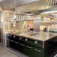 Campana Extractora de Acero Inoxidable Profesional para Cocina, Alto Flujo de Aire y Eficiencia Energética Clase A para Cocinas Comerciales