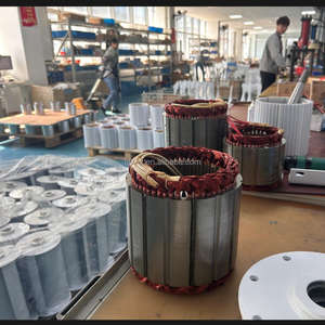 मुफ्त बिजली 30kw 50kw 60kw 100kw पवन टरबाइन जनरेटर स्थायी चुंबक 220v 380v ac कम गति अल्टरनेटर जनरेटर - Product Image 3