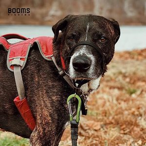 Tùy Chỉnh Khắc Key Nhôm <span class=keywords><strong>Carabiner</strong></span> Móc D Clip Với Logo Keychain Nhiệm Vụ Nặng Nề Túi Clip Câu Cá Phụ Kiện Mini <span class=keywords><strong>Carabiner</strong></span> - Product Image 4