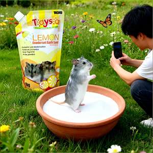 Sable de bain 100% naturel pour hamsters et chinchillas de la marque Dongnai PETS Factory, infusé à la lavande, fabriqué à partir de dolomite, respectueux de l'environnement - Product Image 1