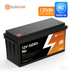 Batterie de stockage d'énergie au sodium SunArk 12V avec indice d'étanchéité IP65 pour les lampadaires solaires extérieurs - Product Image 1