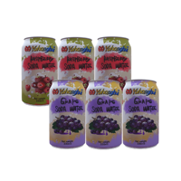 Boisson gazeuse fruitée à la framboise sans sucre personnalisable de 330 ml - Marque privée et vente en gros - Boisson gazeuse de haute qualité