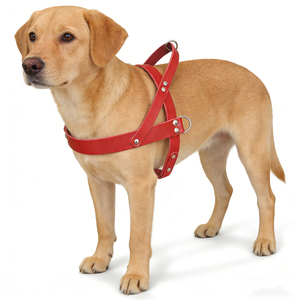 Arnés de Perro de Cuero Vegano de Diseño Sin Estrangulamiento con Correas Ajustables y Costuras Reforzadas para Paseos al Aire Libre y Entrenamiento Diario - Product Image 1