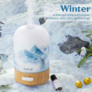 Humidificateur d'air portable mini ultrasonique décoratif unique / Brumiateur à vapeur froide et chaude - Product Image 4