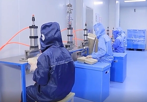 250 Mảnh Thân Thiện Với Môi Dùng Một Lần Bộ Đồ Ăn Có Thể Phân Hủy Giấy Tấm Thêm Dài Đồ Dùng Phân Hủy Sinh Học Mía Sợi - Product Image 4