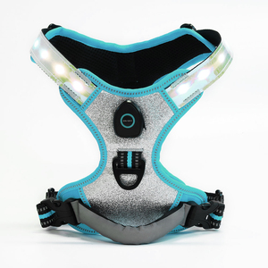 <span class=keywords><strong>Harness</strong></span> Anjing Berjalan Fungsional - Product Image 5