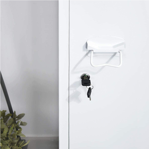 Armario de Acero Moderno de Una Puerta, Colorido, para Colgar Ropa, Estructura Desmontable, Recubrimiento Electrostático en Polvo, Precio de Fábrica - Product Image 6