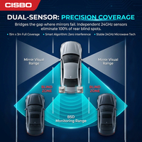 Sensor de Radar Milimétrico de 24 GHz, Asistente de Punto Ciego BSA, Sensor de Punto Ciego, Detector de Radar para Automóvil, Sistema de Monitoreo de Punto Ciego BSM