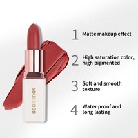 OEM - Meilleur rouge à lèvres velours à haute pigmentation pour femmes - Longue tenue - (nouveau) - Logo personnalisé - Tube blanc - Rouge à lèvres de haute qualité - Maquillage