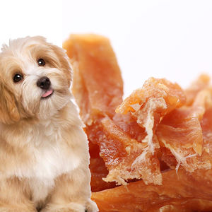 עוף מיובש פרוסת קופצני הטוב ביותר לחיות מחמד כלב פינוקים 100% מזון לחיות מחמד חטיפים ייצור החברה - Product Image 5