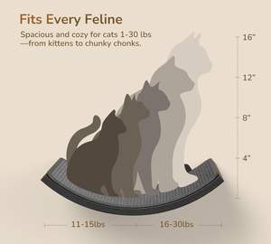 Lit en sisal gris incurvé avec 2 marches flottantes Étagère d'escalade murale en bois pour chat Meubles de tour murale pour chat qui dort - Product Image 3