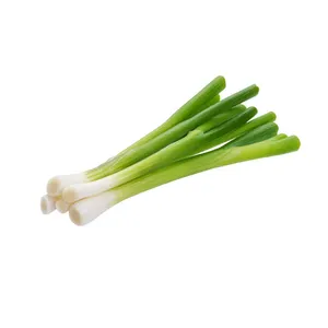 2022 Wholesale Manufacture High Quality Dried Vegetables Dehydrated Chive Spring Onion Green Onion Leek For Seasoning