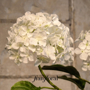 FONG IAN 真实触感 2 头绣球花 人造长茎绣球花 用于婚礼装饰 家居装饰 工厂批发价 - Product Image 5