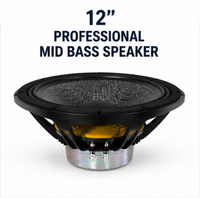 Haut-parleur professionnel de médiums et de basses au néodyme de 12 pouces, 600W AES, haute sensibilité, woofer passif 8 ohms pour système Line Array et de monitoring
