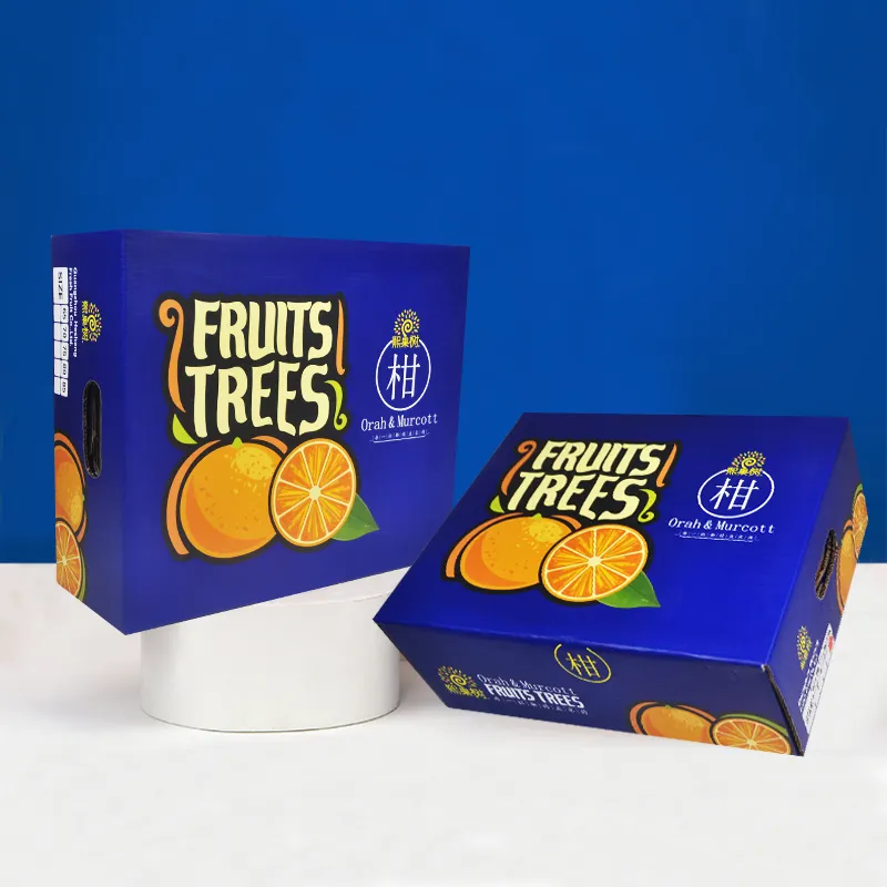 Logo personnalisable Carton cosmétique Carton de fruits Emballage de bagages Carton cadeau