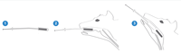 LoRaWAN Capteur de bio-capsule de canne à sucre Surveillance de ferme non toxique Capteur intra-rumen Réseau de communication bioamical pour le bétail
