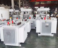 Transformateur immergé dans l'huile triphasé monté sur poteau pour extérieur S11 10KV 50/60Hz 50KVA 100KVA 200KVA 315KVA Usage industriel
