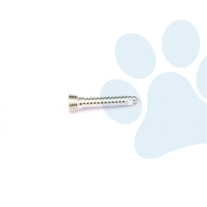 Veterinaire orthopedische implantaten, roestvrijstalen vergrendelende botschroeven voor chirurgische fixatie-instrumenten - Product Image 2