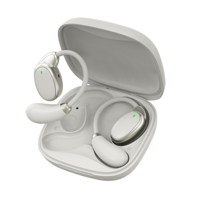 Multi-Language Instant Translator Earbuds