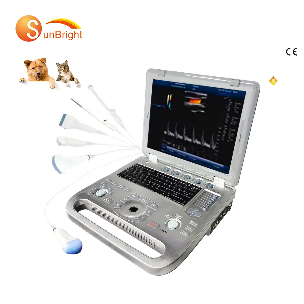Animal use all digital portable 3D 4D color doppler veterinary ultrasound machine with suitable price