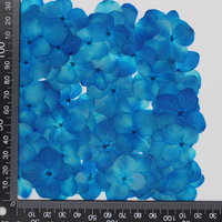 Fiori di Ortensia Essiccati e Pressati per Arte in Resina, Fai da Te, Decorazioni per Matrimoni, Segnalibri, Gioielli, Cartoline e Decorazioni per Cover di Telefoni