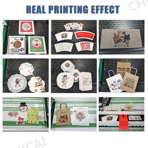 <span class=keywords><strong>2026</strong></span>年新型高速CMYK纸袋数码打印机自动送纸纸袋打印机适用于纸袋-皮包 - Product Image 4