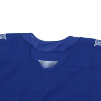 Maillot de hockey sur glace personnalisé HEALY, broderie en twill, nom et numéro de l'équipe, lacets, rayures bleues, uniformes de hockey vierges