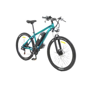 26 인치 250w 48v 배터리 모터 전자 자전거 도시 자전거 숙녀 남성 전기 도시 자전거 Ebike 판매