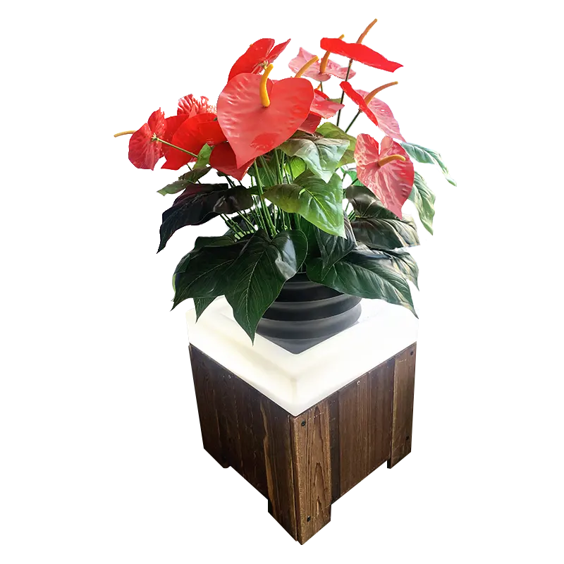 Vasos de flores de madeira luminosos para áreas externas, vasos para plantas quadrados