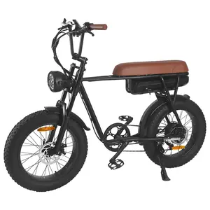 Drop Shipping 750W 1000W e-bike Fat Tire Off Road Mountain bike elettrico per bicicletta elettrica Vintage per adulti