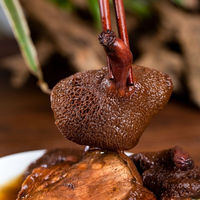 Champignons Suillus Rubricontextus comestibles Champignons Suillus Rubricontextus rouges sauvages naturels à vendre