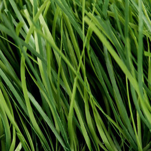 Aménagement paysager gazon synthétique tapis loisirs gazon gazon extérieur artificiel jardin gazon pelouse - Product Image 1