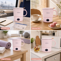 Bouilloire électrique pliable en acier inoxydable, portable et légère, pour l'extérieur, température constante, grande capacité