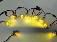 Fete Foraine AC24V 6 titik SMD3535 30mm LED Pixel RGB Terprogram Otomatis dengan Rating IP65 untuk Wahana Hiburan Taman Hiburan