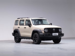 SUV GreatWall vehículo gran espacio SUV coche todas las ruedas <span class=keywords><strong>Srive</strong></span> gasolina coches - Product Image 6