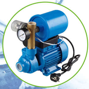 Pompe périphérique en fonte <span class=keywords><strong>Viking</strong></span> 0.5HP 0.37KW QB60 - Product Image 6