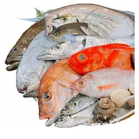 Japan different species seasonal seafood fish sushi products