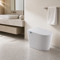 WC monobloc moderne en céramique à poser au sol avec siphon en S, siège chauffant avancé, sanitaires de salle de bain à double chasse incluse