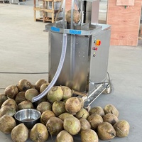 Zware hydraulische kokosnootsnijmachine, kokosnootsnijder, fruitpersmachine, extractor voor restaurantgebruik.