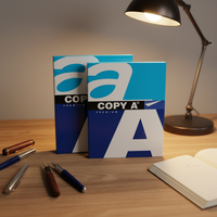 Papiers cartonnés A4 blancs personnalisés, 500 feuilles, impression laser professionnelle, rame de 500 pièces, 70 g/m², revêtement double face