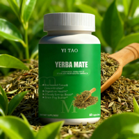 Capsules de thé mate haute concentration, marque privée, antioxydants naturels, boost d'énergie doux, favorisent le métabolisme et la concentration