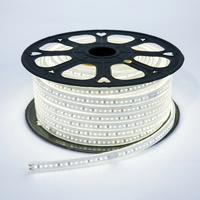 Tira de Luz LED de Alto Voltaje SMD2835 de 50M, IP65 Impermeable, 100lm/w, AC220V, Flexible, de PVC, con Control Remoto, Enchufe US/EU/UK