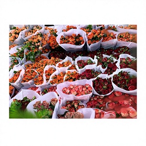 ดอกกุหลาบสดหลายหัว ดอกยาว ขายส่ง สำหรับจัดแต่งทรงผมตรง งานแต่งงาน - Product Image 1