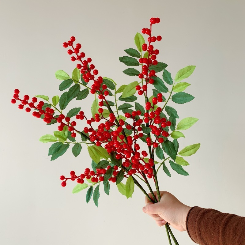 3 fruits de houx avec feuilles