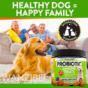 WANZIBEI-सभी-प्राकृतिक उन्नत कुत्ते प्रोबायोटिक्स Chews के साथ कुत्तों के लिए Prebiotics और कद्दू सामयिक दस्त और आंत्र समर्थन - Product Image 3