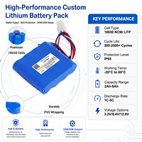 Batterie LifePO4 3,2V 6Ah 19,2Wh avec BMS pour appareils portables, dispositifs IoT, moniteurs médicaux, fabrication sur mesure OEM ODM