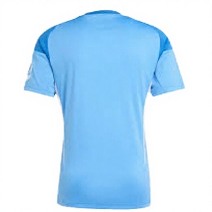 Free Ship 2026 2027 Customized High Quality Spandex/Cotton <b>Quick</b> Dry Soccer Jerseys Front Logo Unisex - Product Image 3