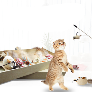 Hot Selling Interactive Cat Toy Set 7 Pcs Mouse Toy Gift Box for Best Cat Toy - Product Image 2